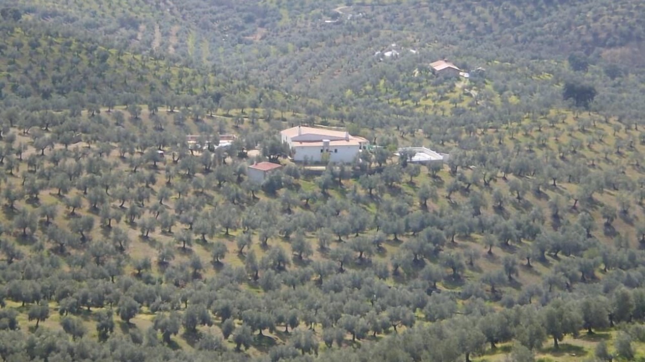 Photo of Outdoor in Pozoblanco