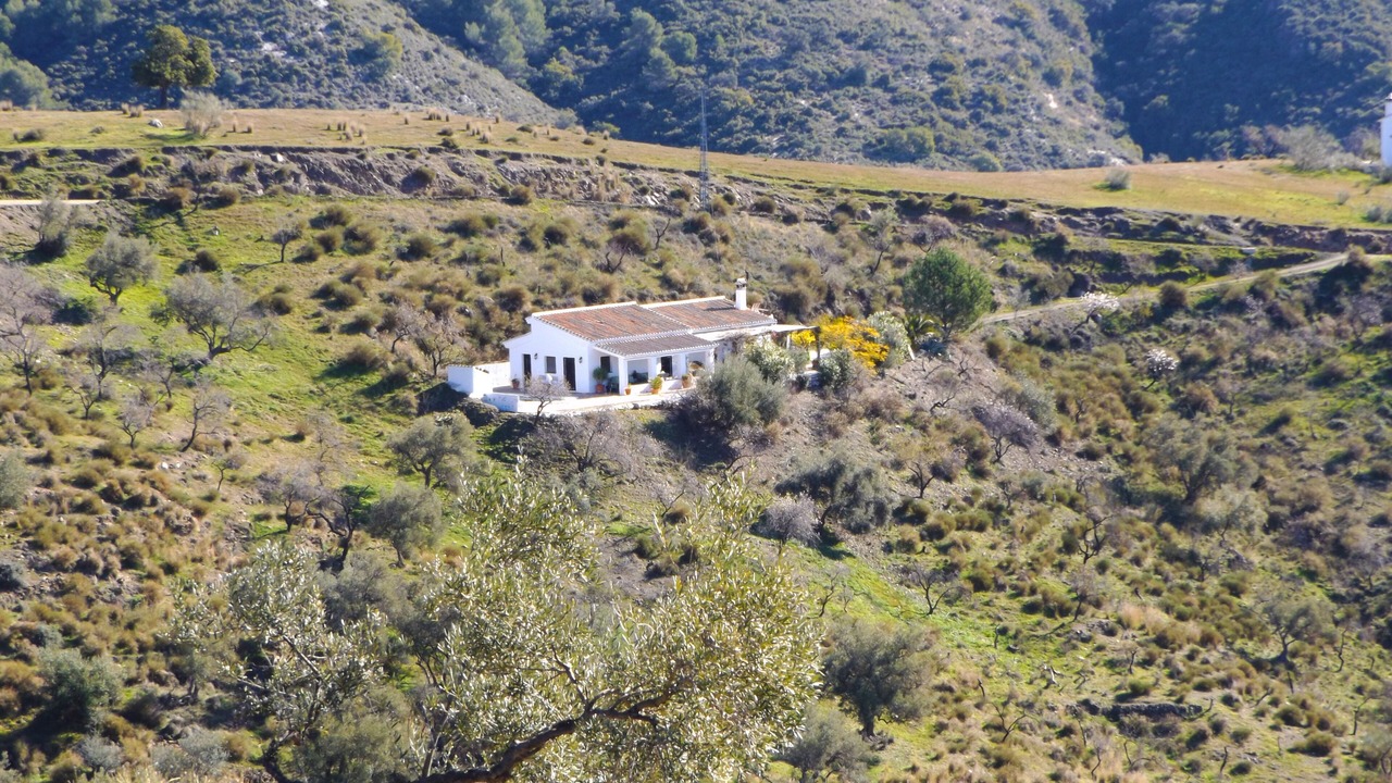 Photo of Others in Sedella