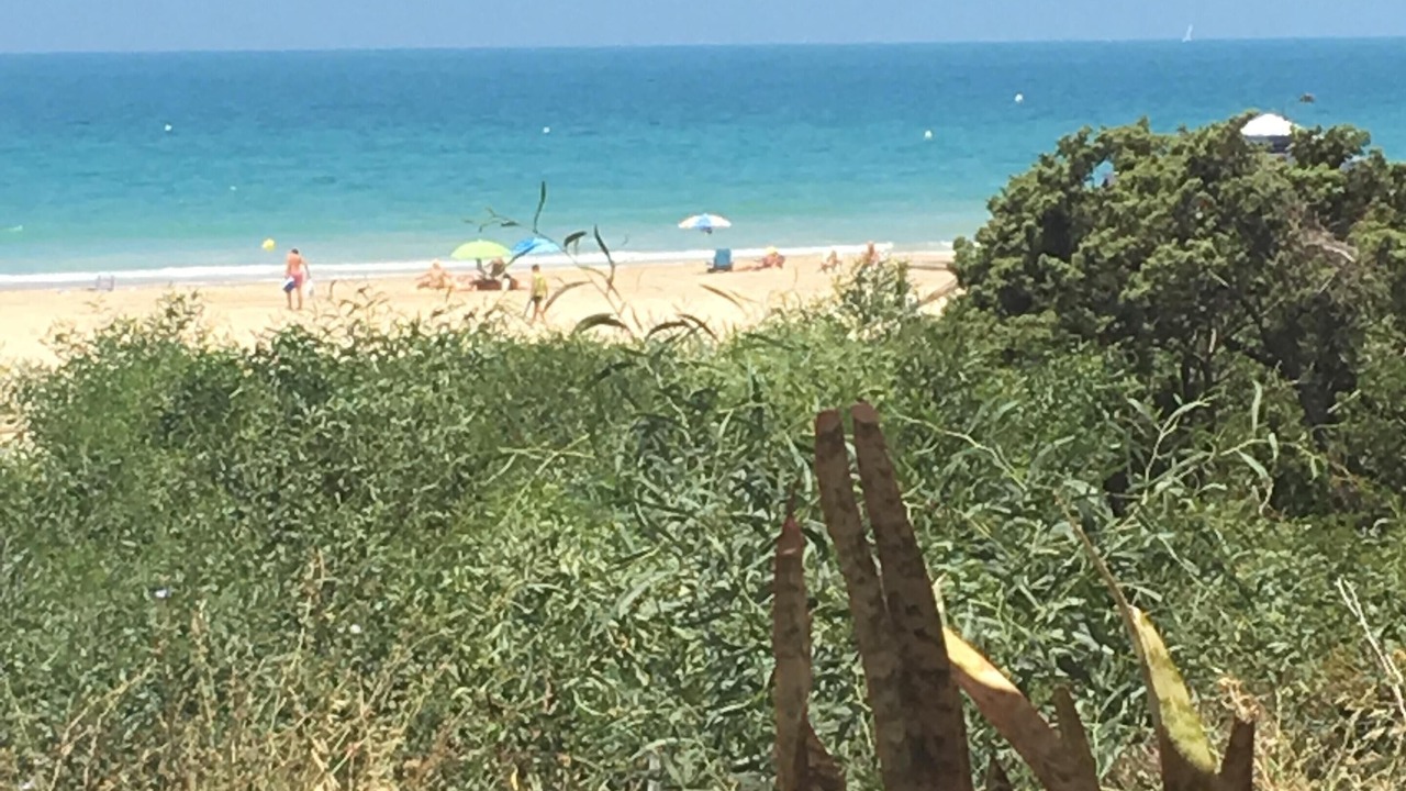 Photo of Others in Chiclana de la Frontera