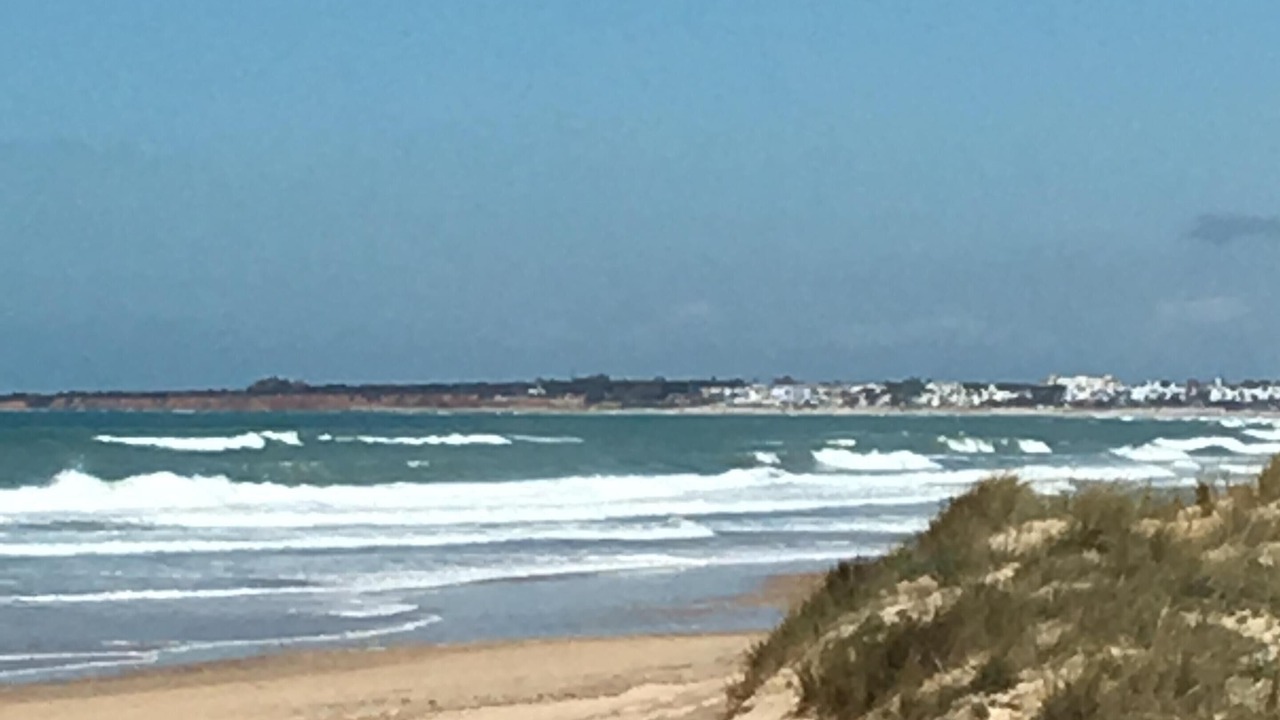 Photo of Others in Chiclana de la Frontera