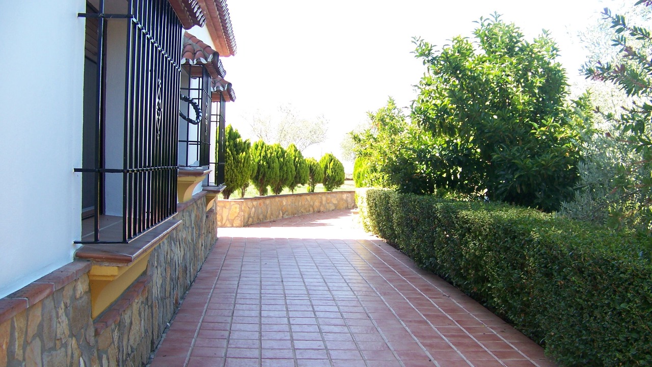 Photo of Outdoor in Arriate