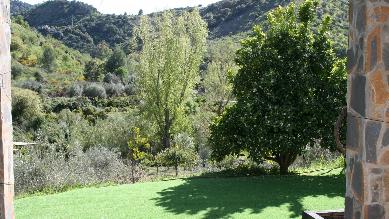 Photo of Outdoor in Guaro