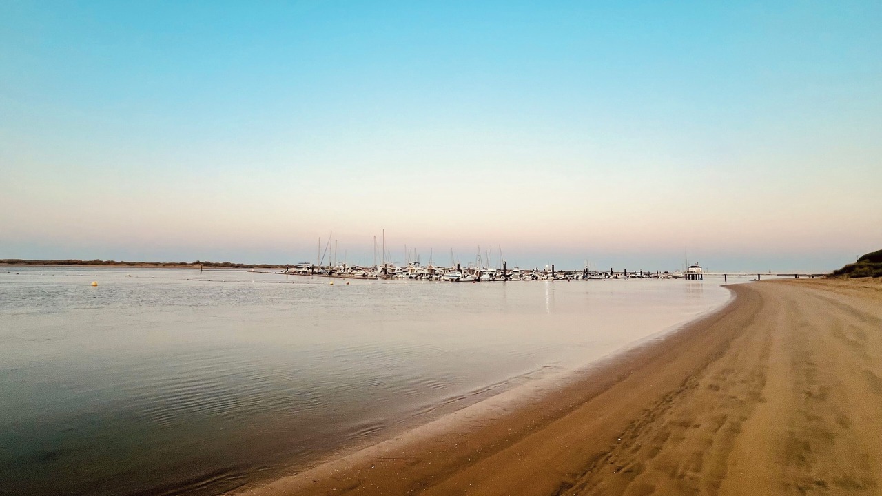 Photo of Others in Nuevo Portil