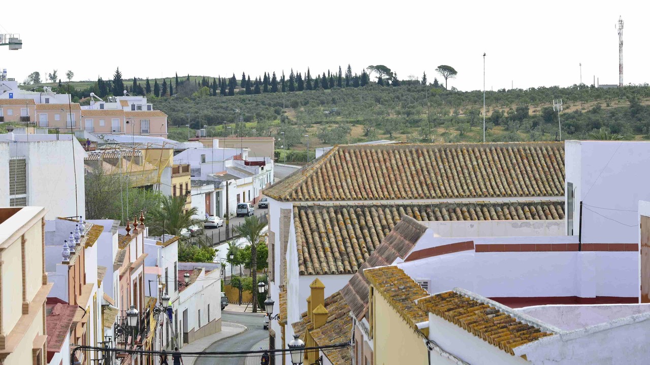 Photo of Others in Mairena del Alcor