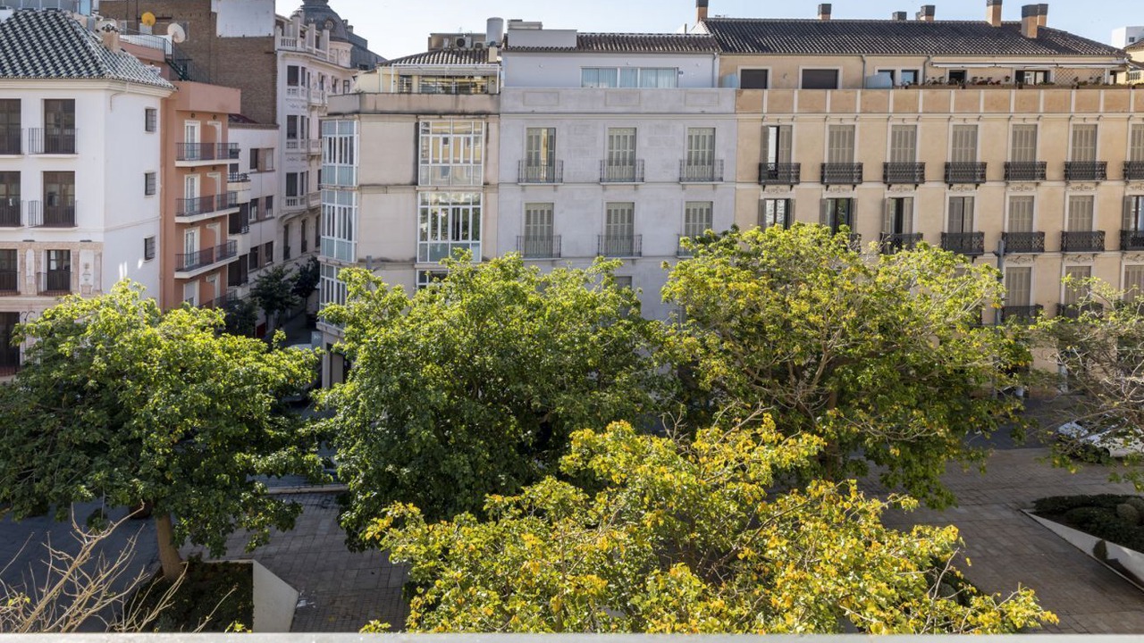 Photo of Outdoor in Malaga Historic Centre