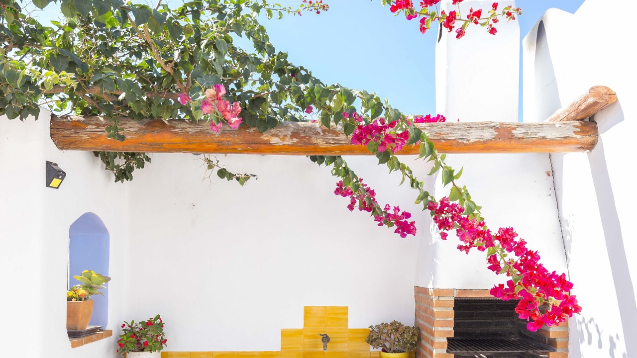 Photo of Outdoor in Conil de la Frontera