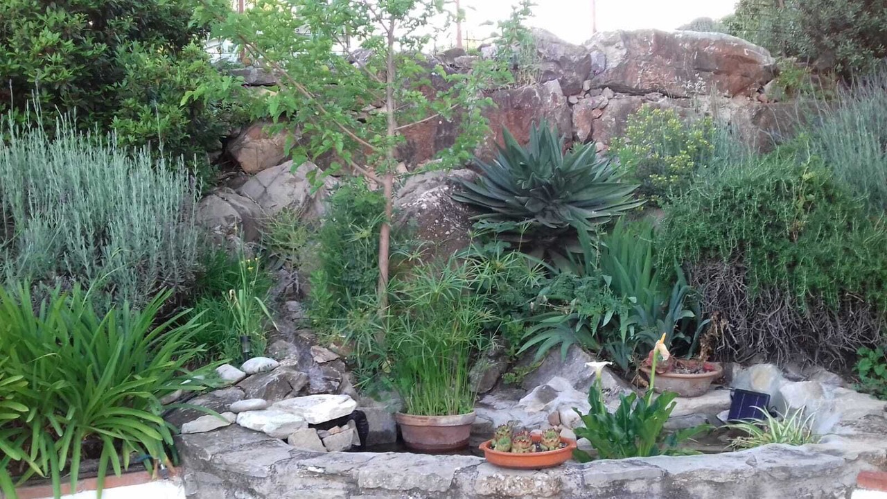 Photo of Outdoor in Prado del Rey