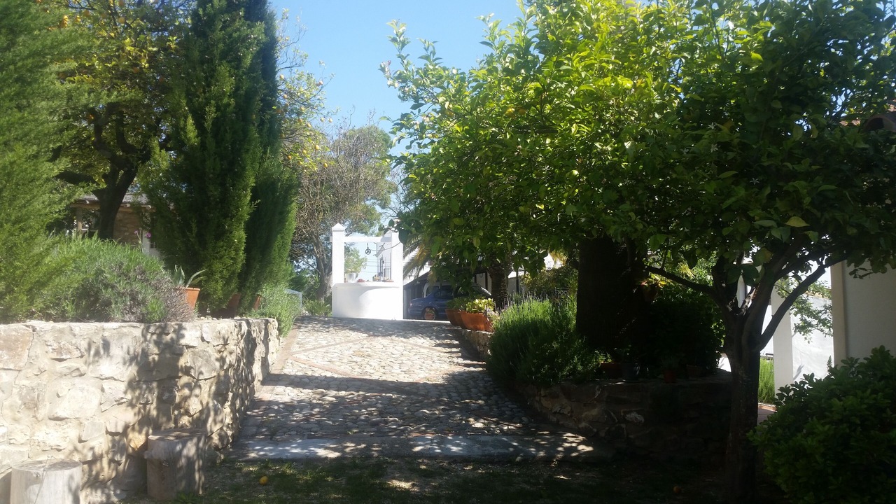 Photo of Outdoor in Prado del Rey
