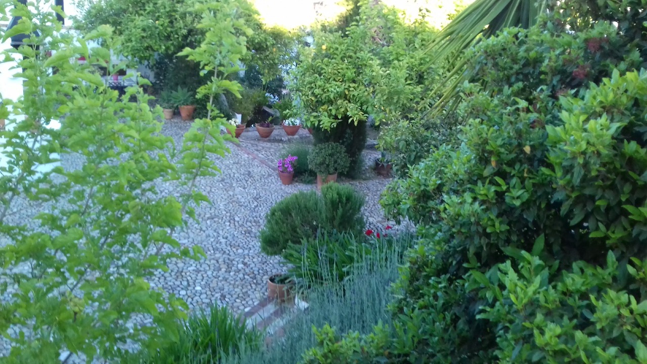 Photo of Outdoor in Prado del Rey