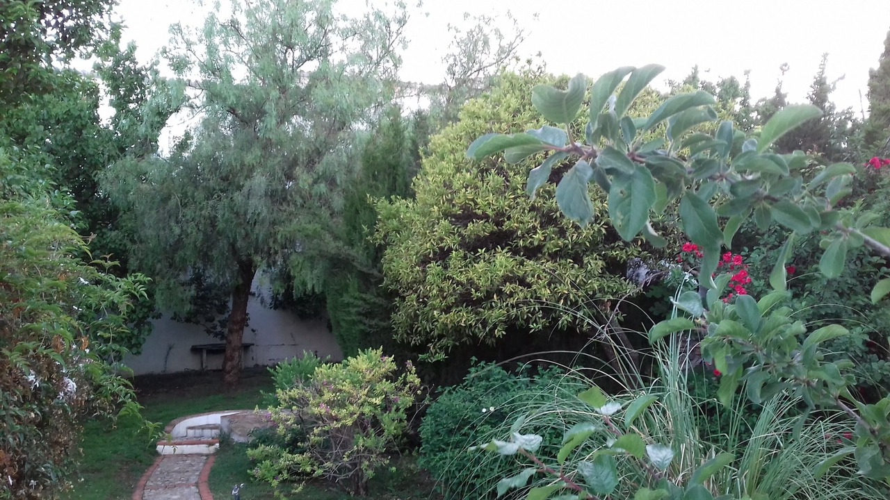 Photo of Outdoor in Prado del Rey