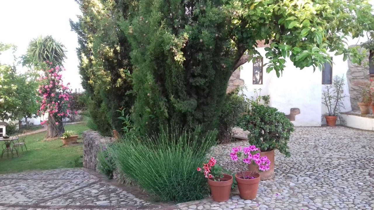 Photo of Outdoor in Prado del Rey