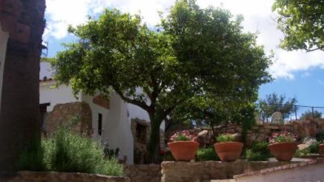Photo of Outdoor in Prado del Rey