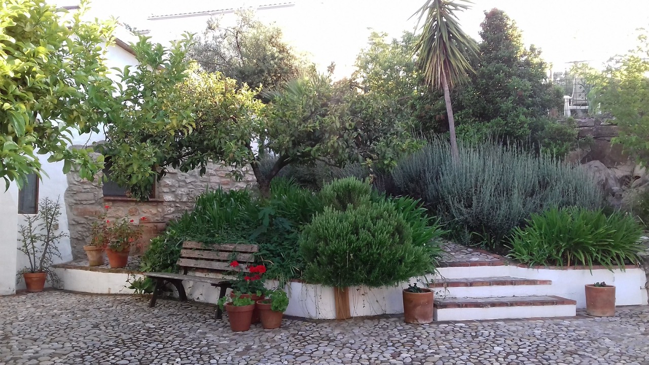 Photo of Outdoor in Prado del Rey