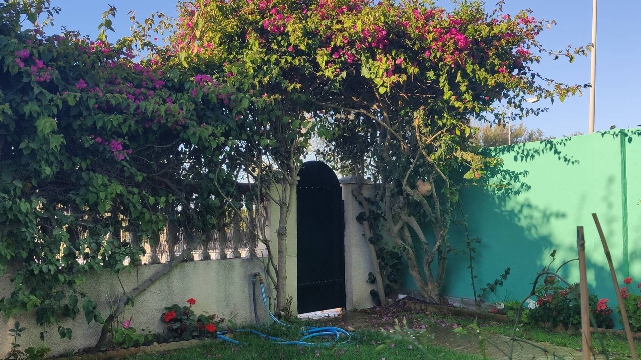 Photo of Outdoor in Chipiona