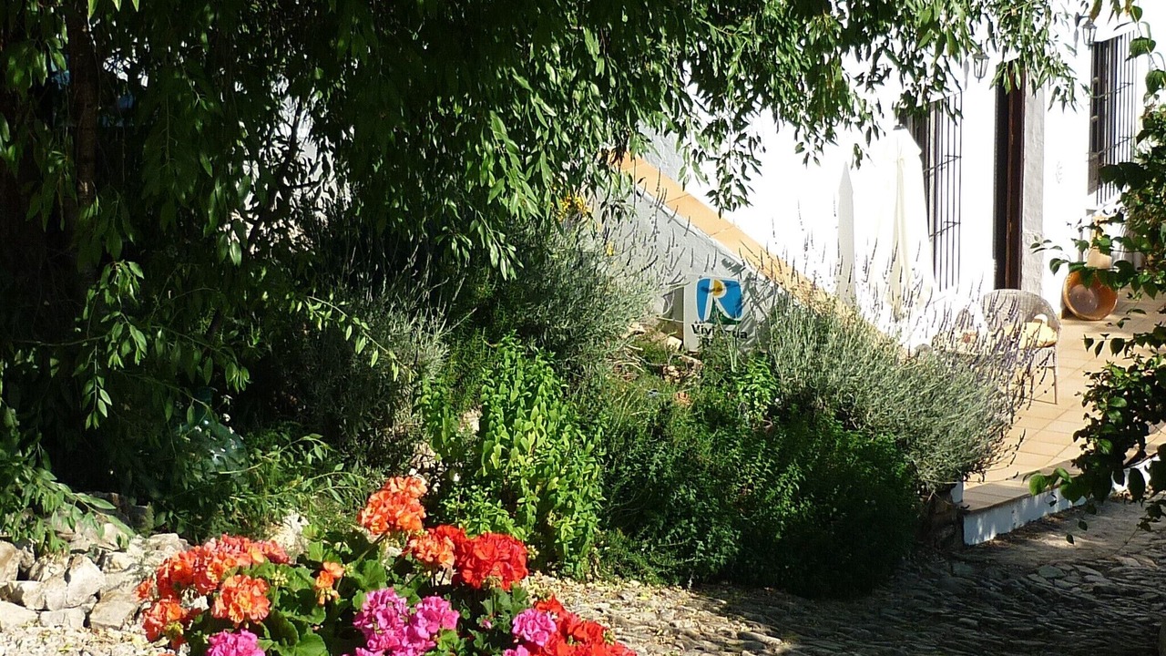 Photo of Others in Algarinejo
