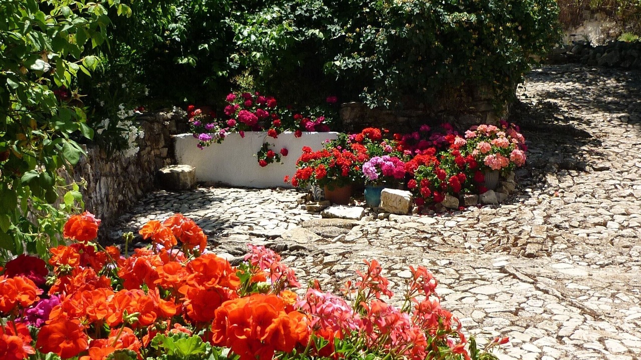 Photo of Outdoor in Algarinejo