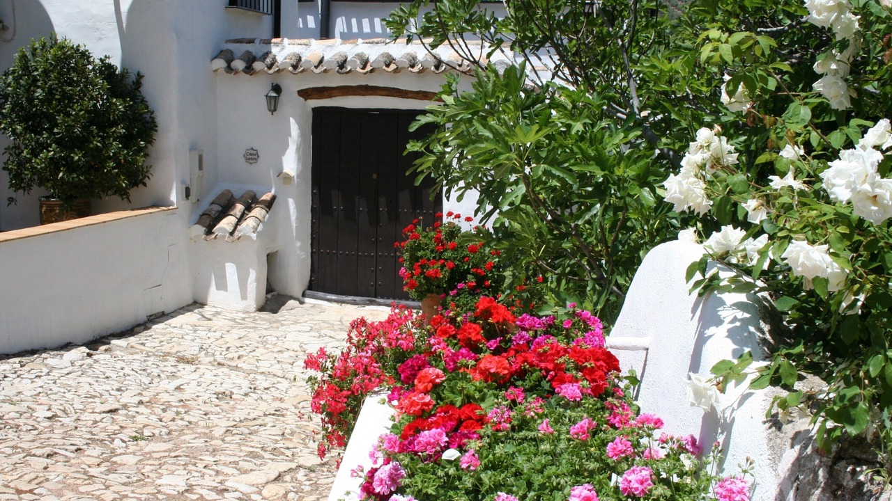 Photo of Others in Algarinejo