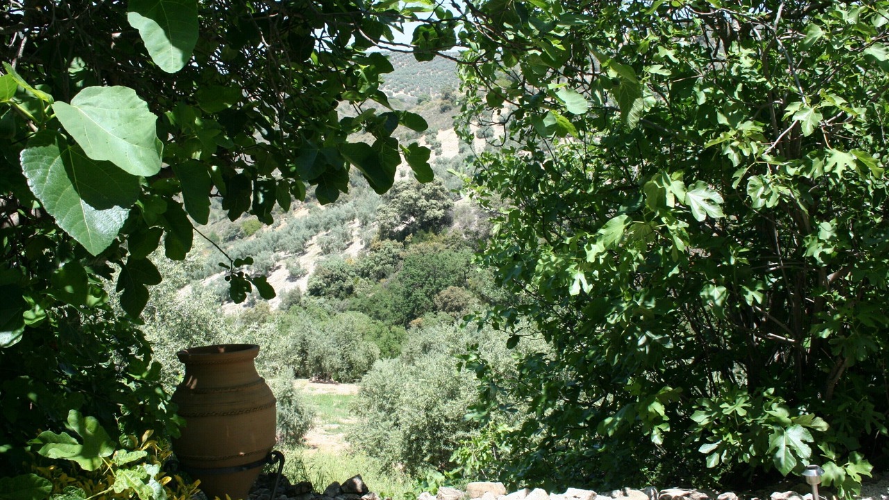 Photo of Others in Algarinejo