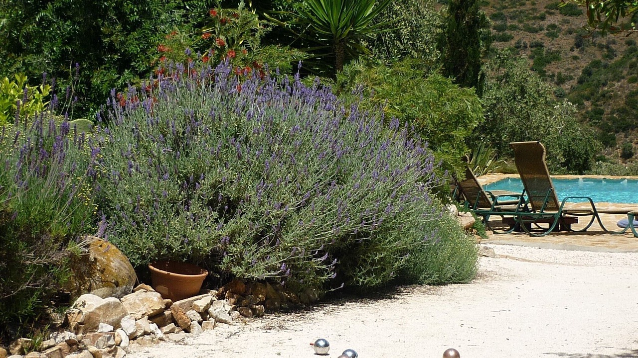 Photo of Outdoor in Algarinejo