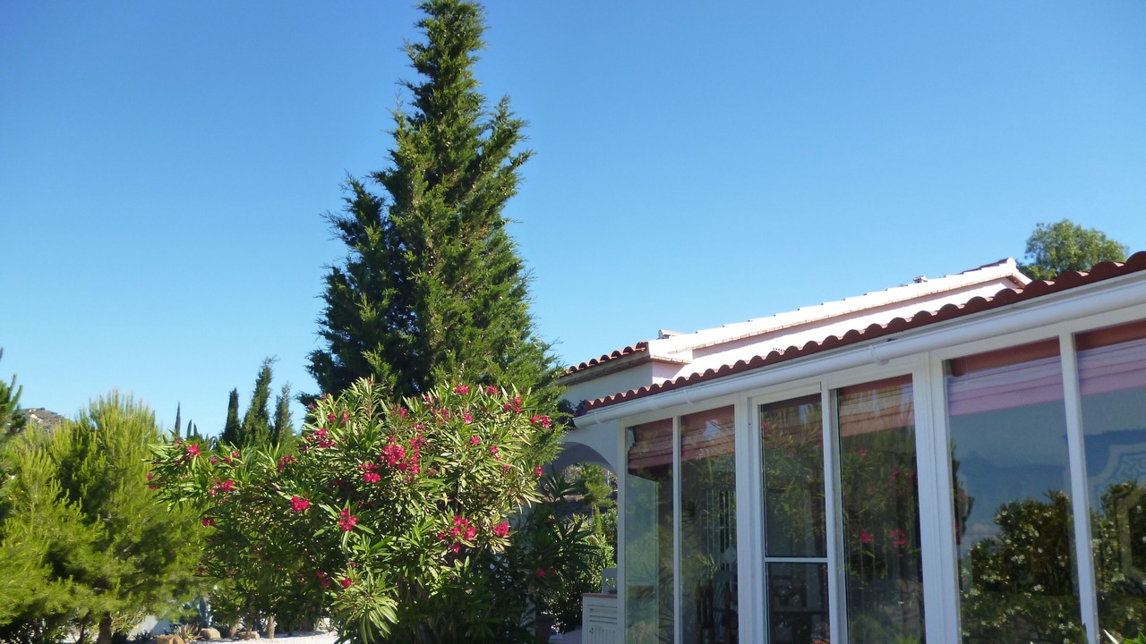 Photo of Outdoor in Sayalonga