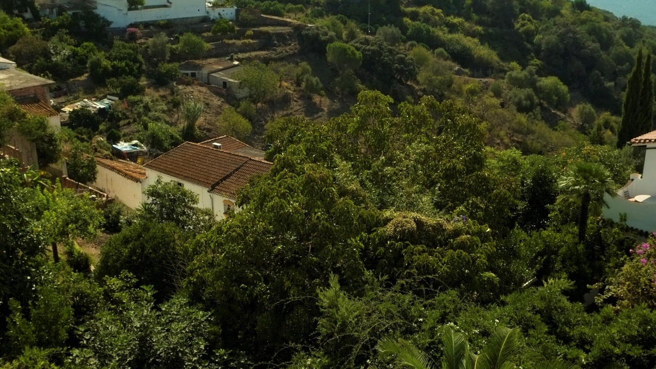 Photo of Outdoor in Gaucin
