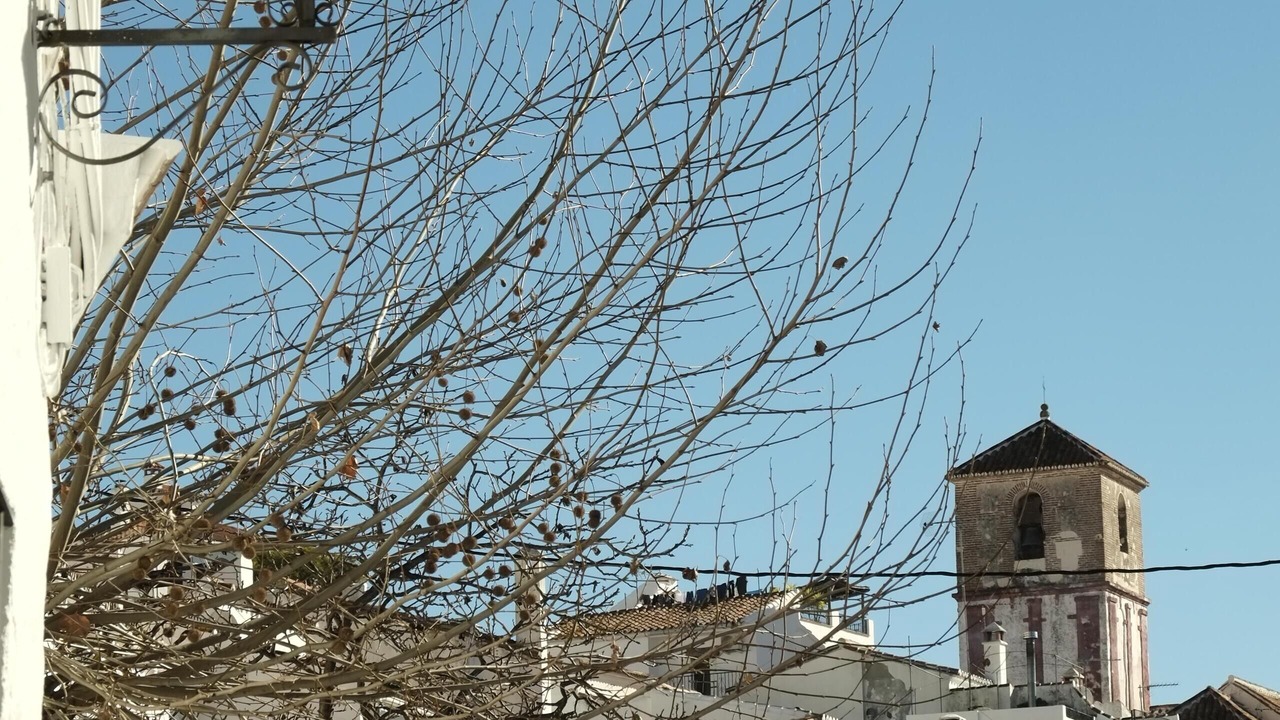 Photo of Others in Gaucin