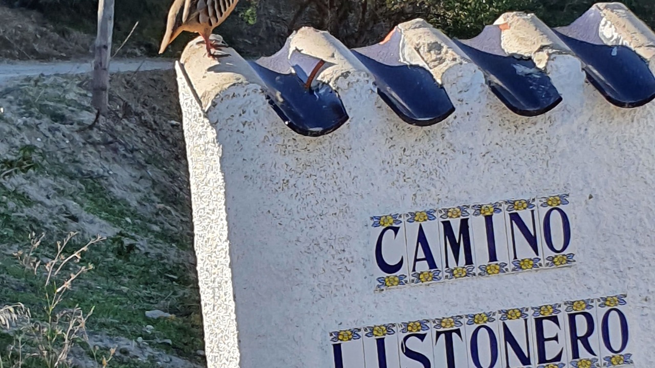Photo of Others in El Cortijo Grande