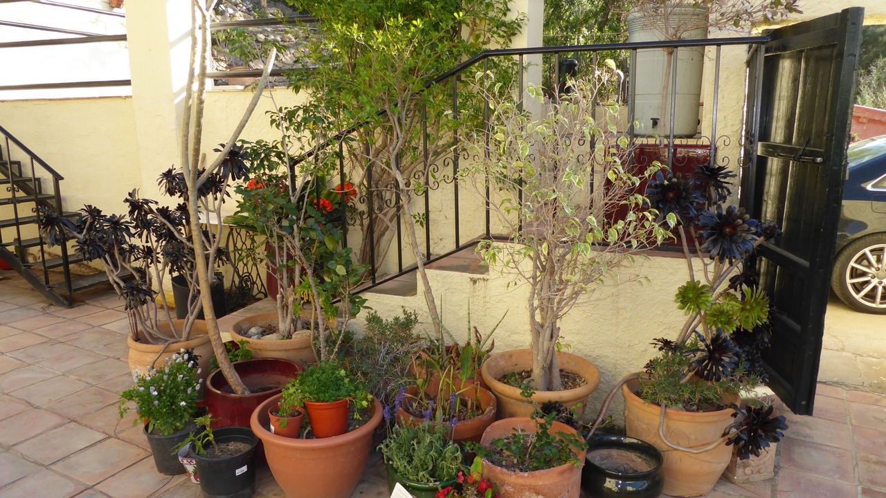 Photo of Outdoor in El Cortijo Grande