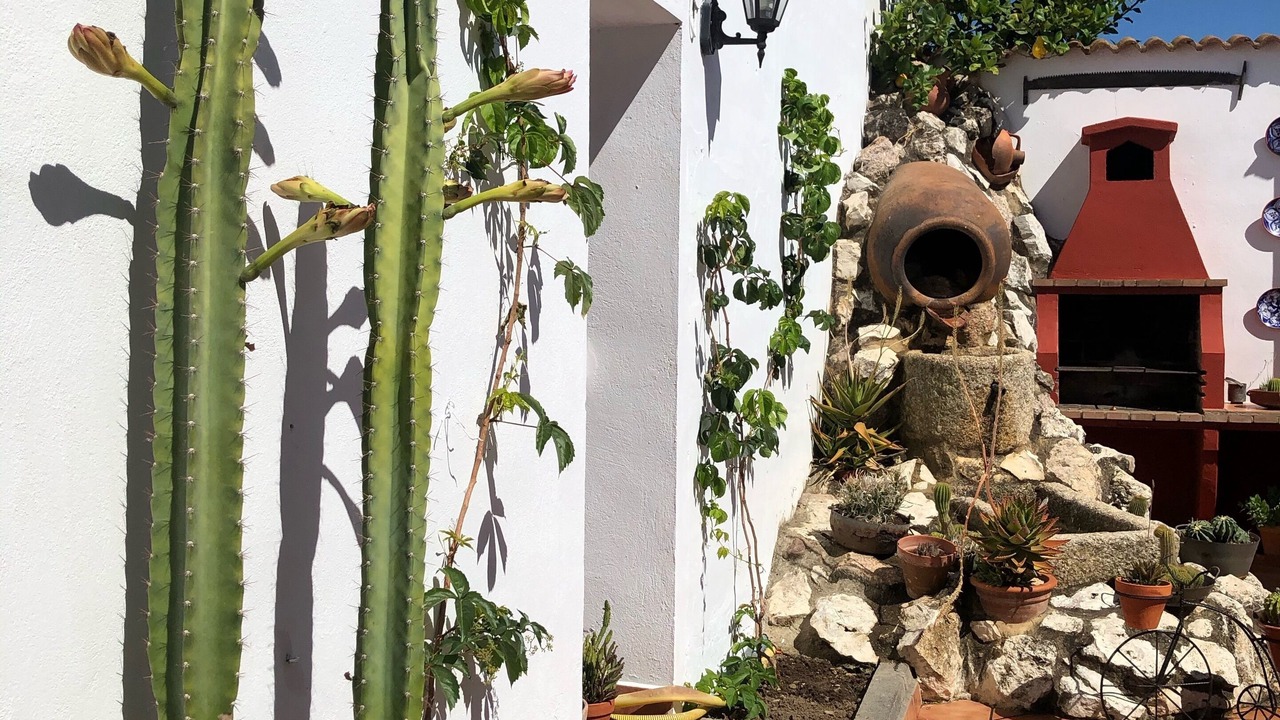 Photo of Outdoor in La Nava de Santiago