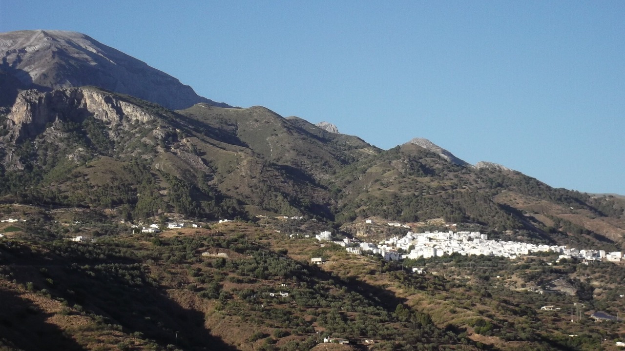 Photo of Others in Canillas de Aceituno