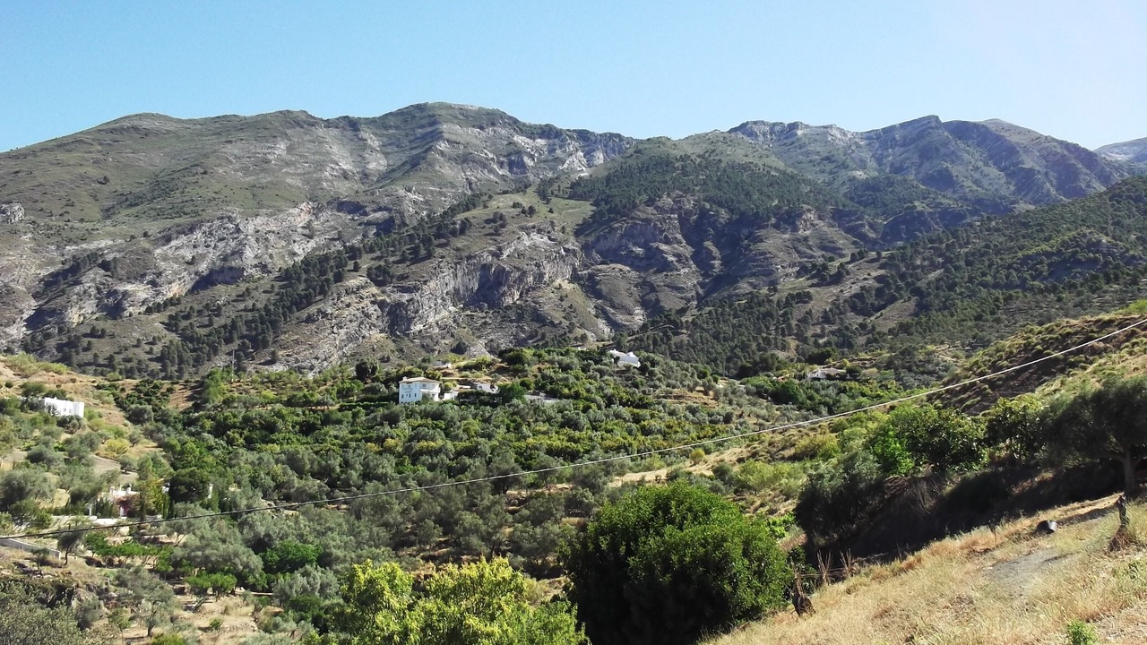 Photo of Others in Canillas de Aceituno