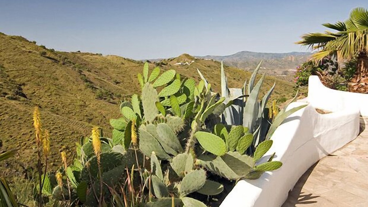 Photo of Others in Canillas de Aceituno