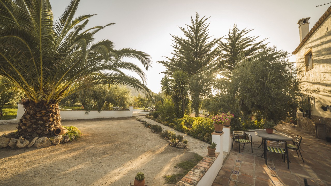 Photo of Outdoor in Luque