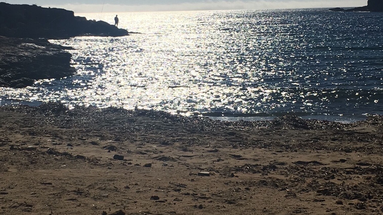 Photo of Others in Atamaria