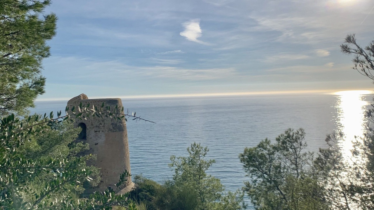 Photo of Others in Nerja
