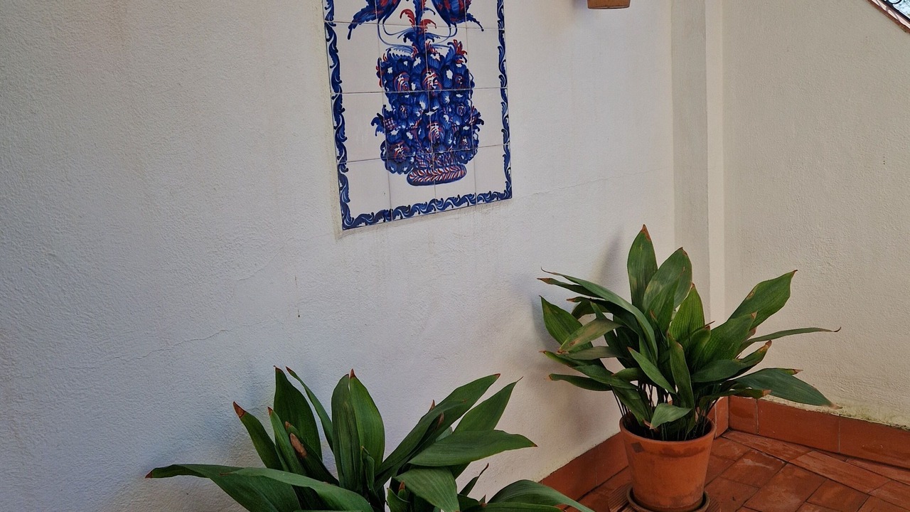 Photo of Outdoor in Beiro