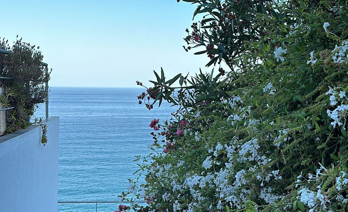 Photo of Outdoor in Manilva