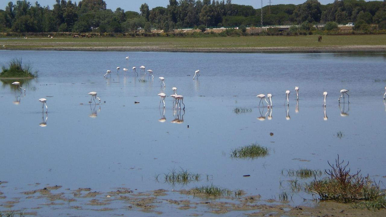 Photo of Others in Pozo Del Camino
