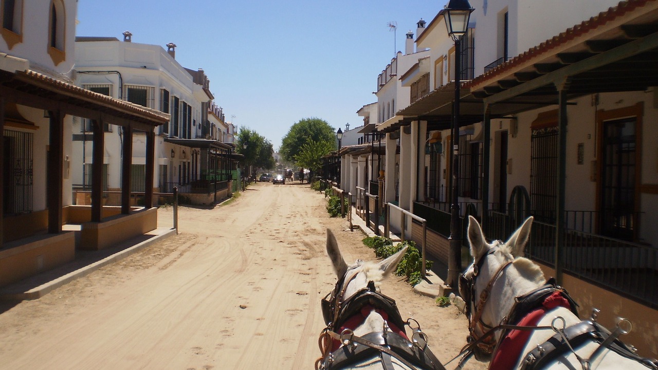 Photo of Others in Pozo Del Camino