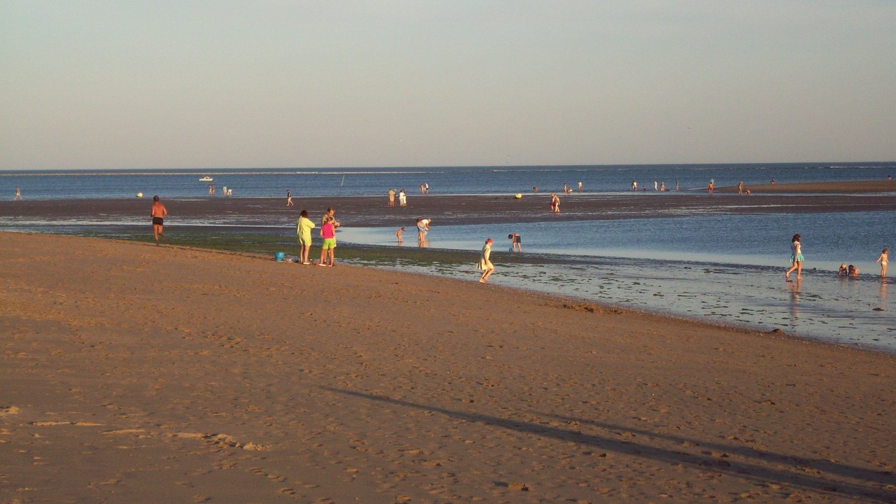 Photo of Others in Pozo Del Camino