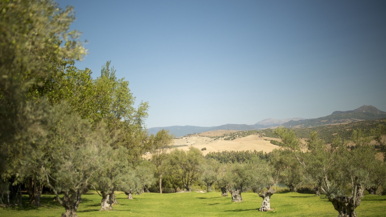 Photo of Others in Jimena de la Frontera
