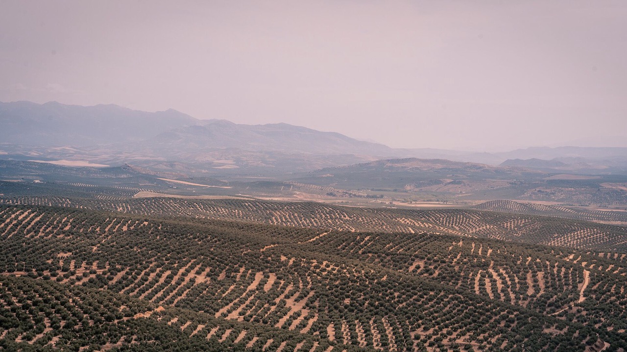 Photo of Others in Begijar