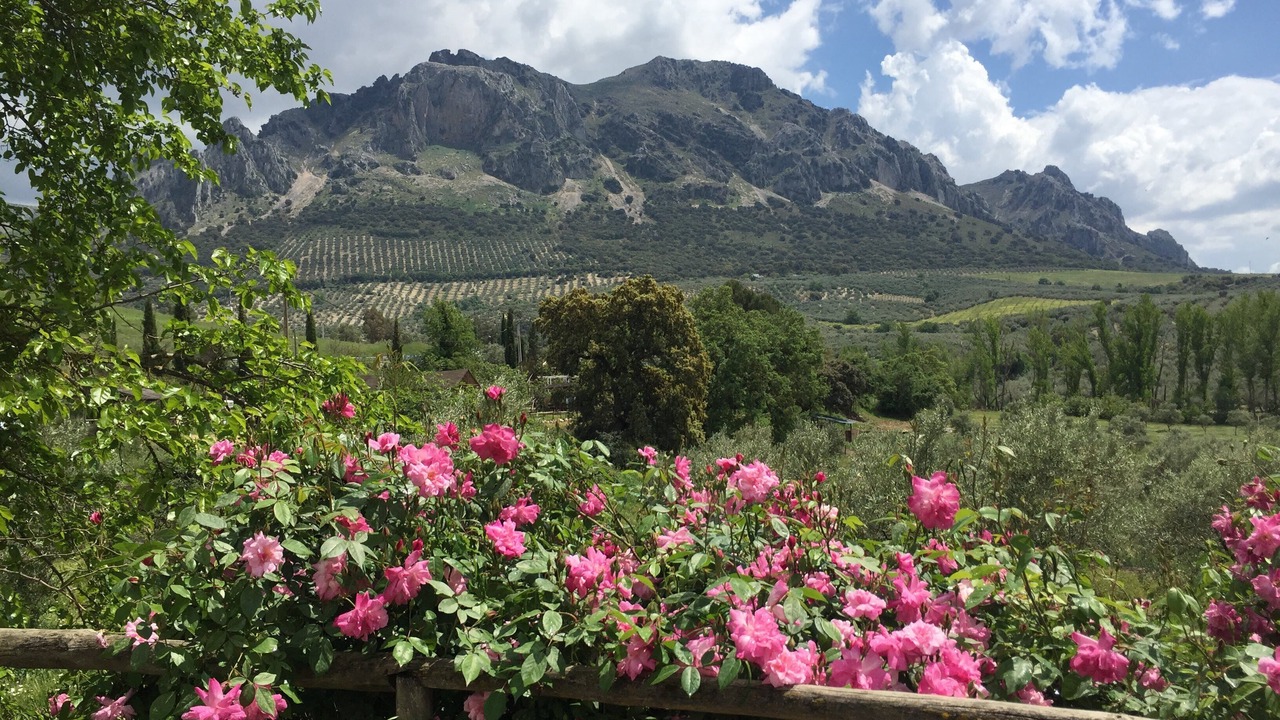 Photo of Outdoor in Priego de Cordoba