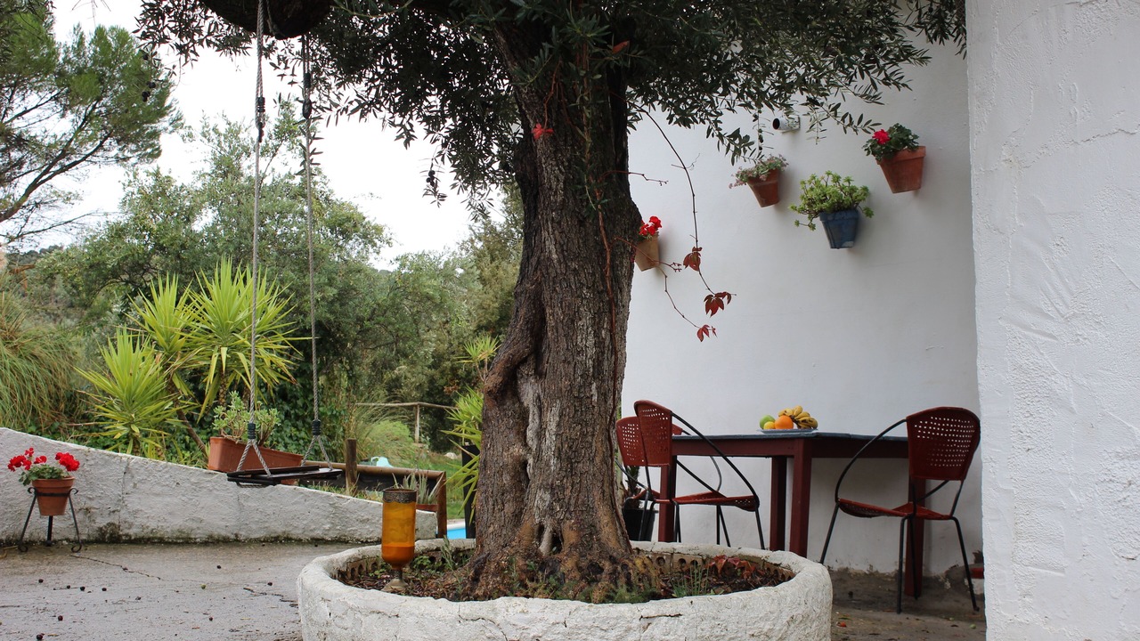 Photo of Outdoor in Priego de Cordoba