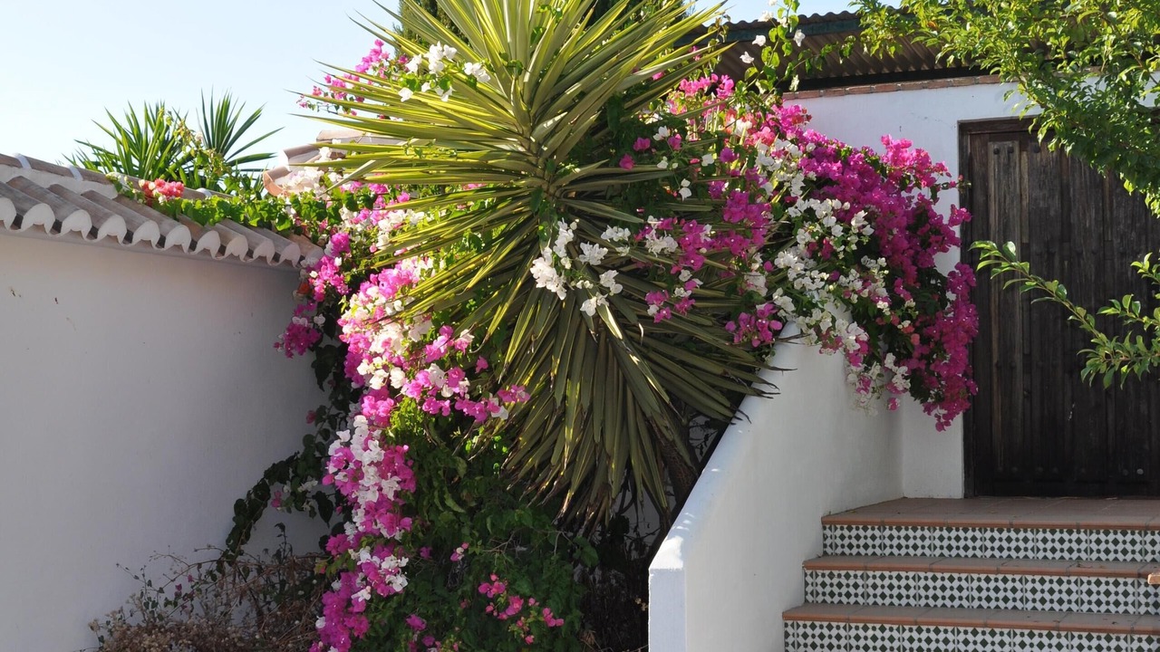 Photo of Outdoor in Pizarra