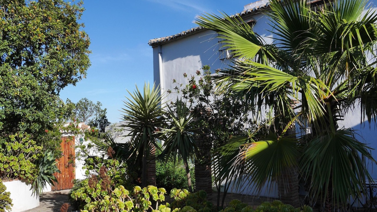 Photo of Outdoor in Pizarra