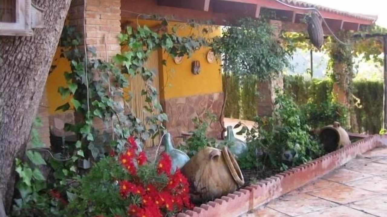 Photo of Outdoor in Fuensanta de Martos