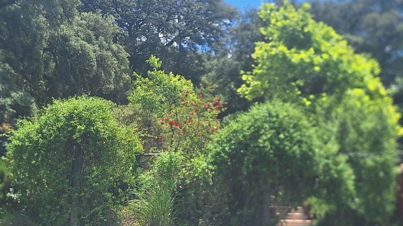 Photo of Outdoor in Fuensanta de Martos