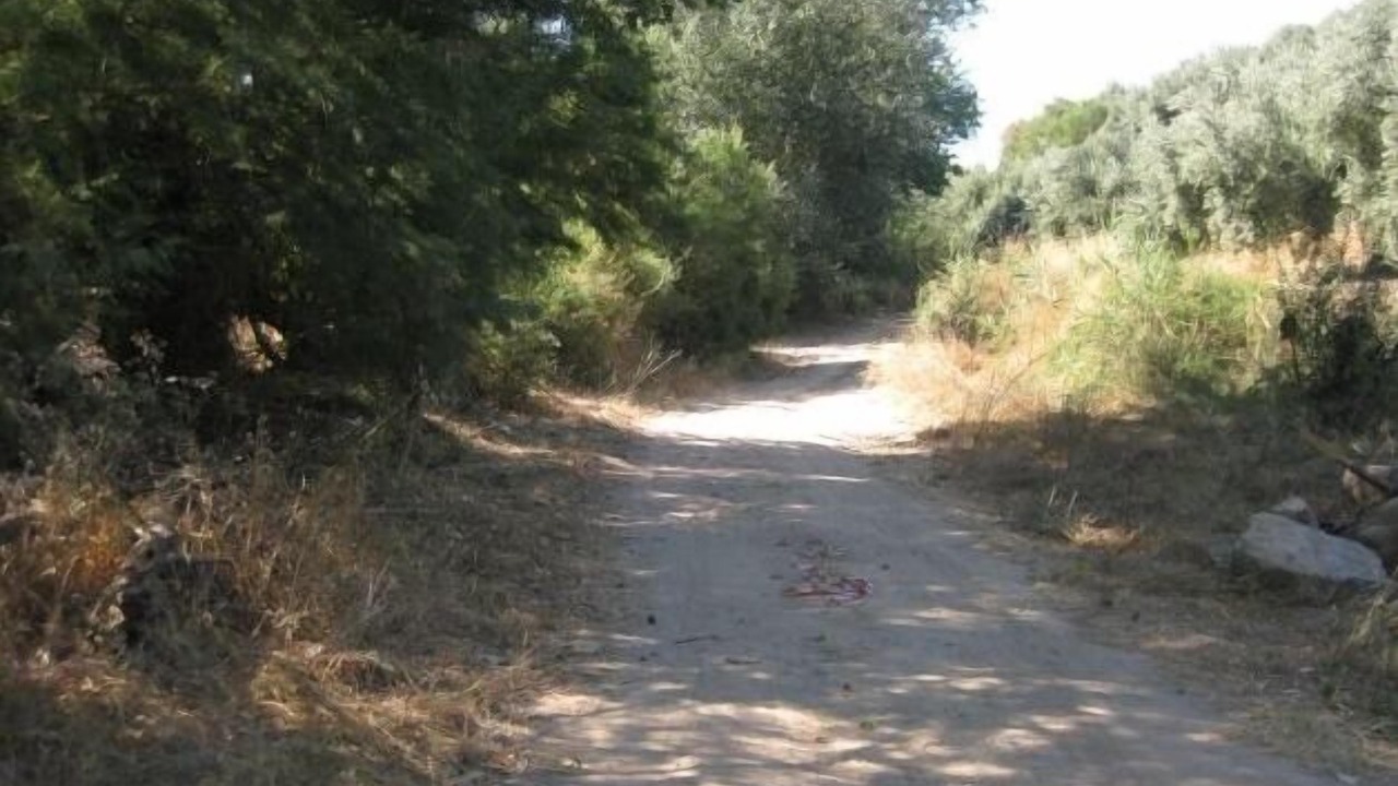 Photo of Outdoor in Fuensanta de Martos