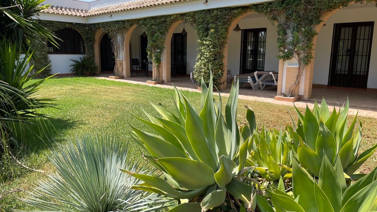 Photo of Outdoor in Sanlucar la Mayor